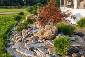 Fall Landscaping