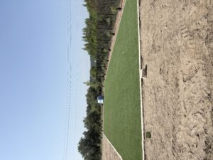 climate-adaptive landscaping