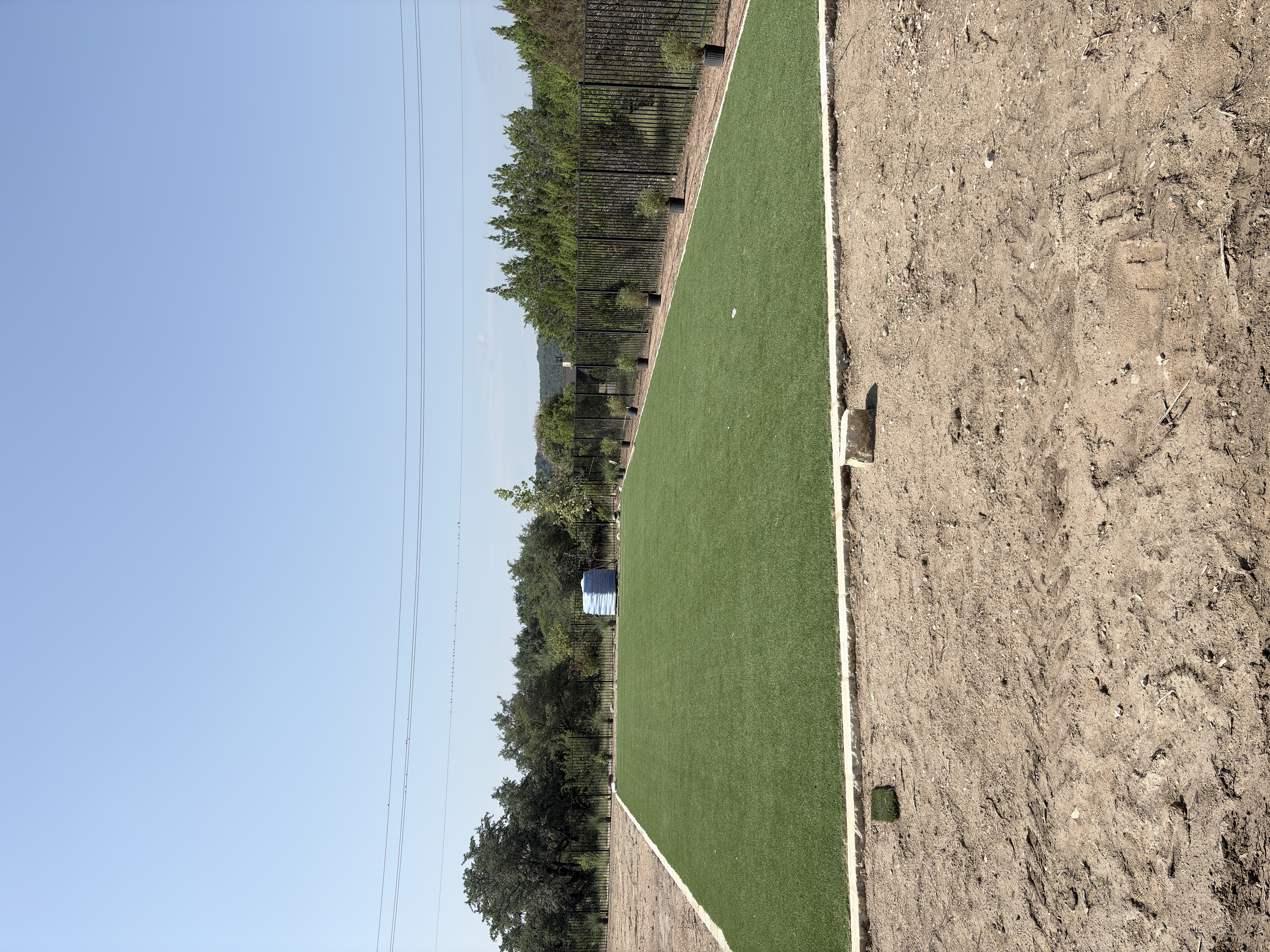 climate-adaptive landscaping