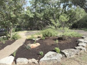 rain garden