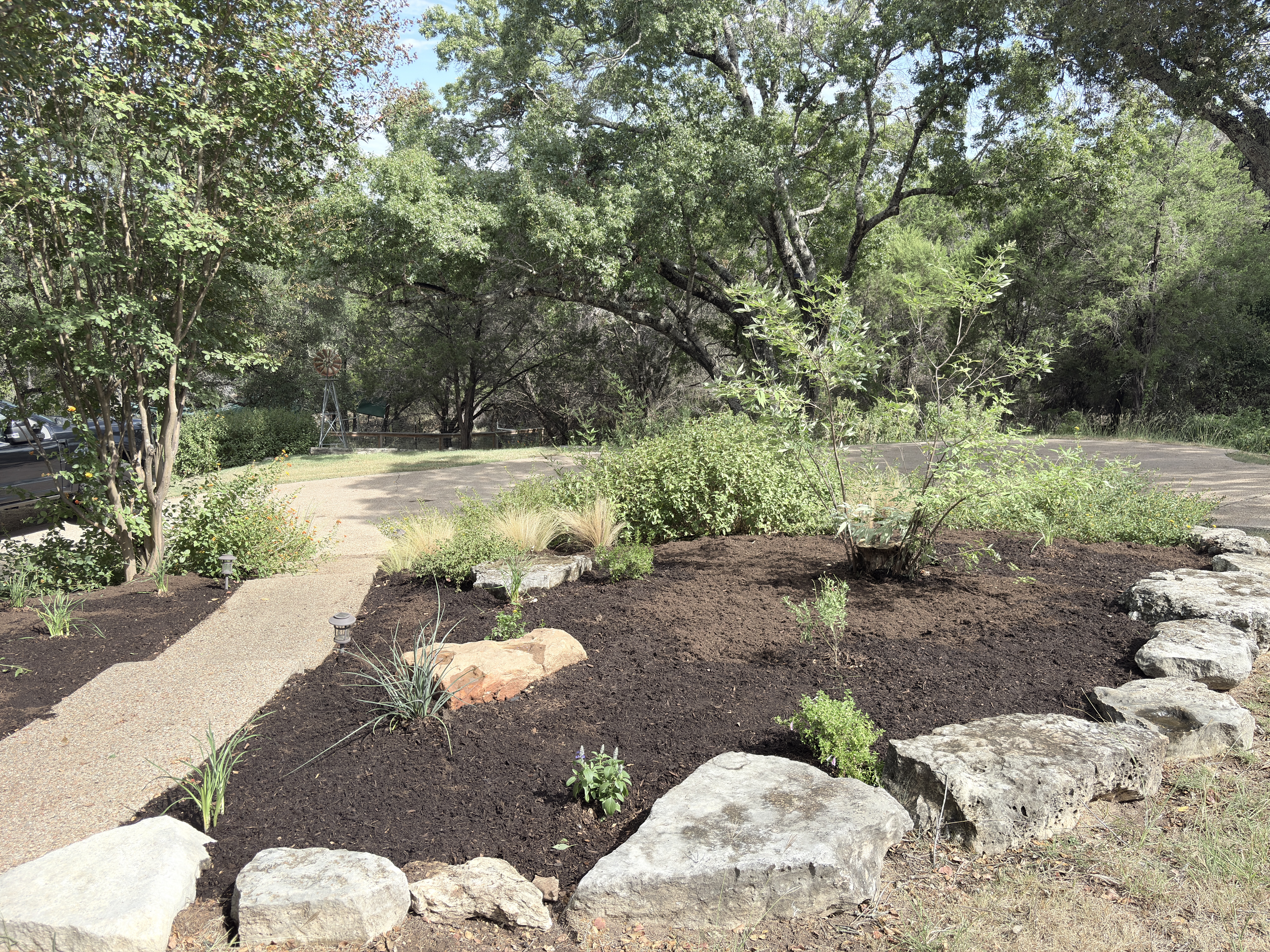 rain garden